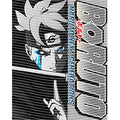 dragonballZ - STK-12259