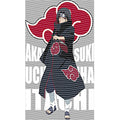 dragonballZ - STK-12299