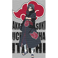 dragonballZ - STK-12301