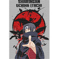 dragonballZ - STK-12304