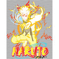 dragonballZ - STK-12313