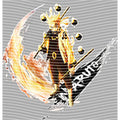 dragonballZ - STK-12318