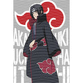 dragonballZ - STK-12357