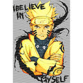 dragonballZ - STK-12375