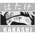 dragonballZ - STK-12383