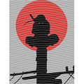 dragonballZ - STK-12394