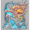 dragonballZ - STK-12423