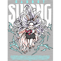 dragonballZ - STK-12500