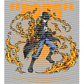 dragonballZ - STK-12532