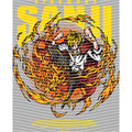 dragonballZ - STK-12555
