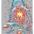 dragonballZ - STK-12697