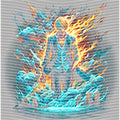 dragonballZ - STK-12709