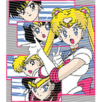 dragonballZ - STK-12743