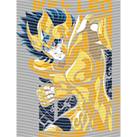 dragonballZ - STK-12760