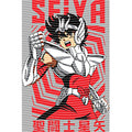 dragonballZ - STK-12776