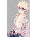 dragonballZ - STK-12791
