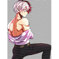 dragonballZ - STK-12901