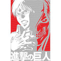 dragonballZ - STK-12942