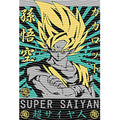 dragonballZ - STK-12972
