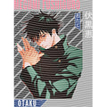 dragonballZ - STK-12991