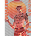 dragonballZ - STK-9792