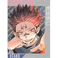 dragonballZ - STK-9793