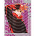 dragonballZ - STK-9847