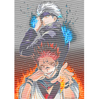 dragonballZ - STK-9921