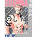 dragonballZ - STK-9924
