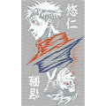 dragonballZ - STK-9941