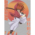 dragonballZ - STK-9979