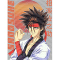 dragonballZ - STK-9987