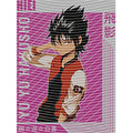 dragonballZ - STK-10044