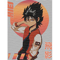 dragonballZ - STK-10045