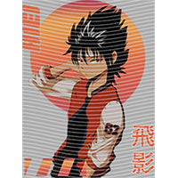 dragonballZ - STK-10045