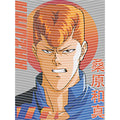 dragonballZ - STK-10046
