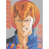 dragonballZ - STK-10046