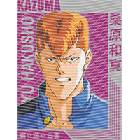 dragonballZ - STK-10050