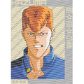 dragonballZ - STK-10051