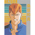 dragonballZ - STK-10053