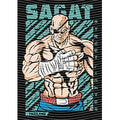 dragonballZ - STK-10146