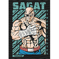 dragonballZ - STK-10146
