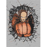 dragonballZ - STK-10202
