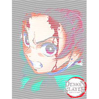 dragonballZ - STK-10455