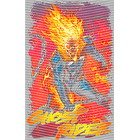 dragonballZ - STK-10503