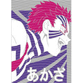dragonballZ - STK-10573