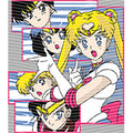 dragonballZ - STK-10676