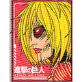 dragonballZ - STK-10690