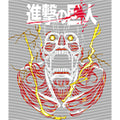 dragonballZ - STK-10716