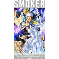 dragonballZ - STK-9242